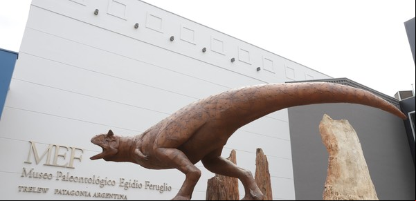 Museo Egidio Feruglio de Trelew: cómo es la visita al renovado museo de fósiles de dinosaurios en Chubut