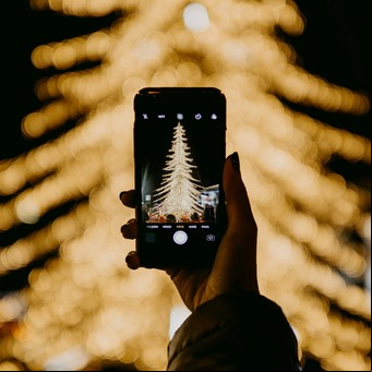 El árbol de Navidad más alto de Sudamérica está en Argentina: en qué provincia se encuentra