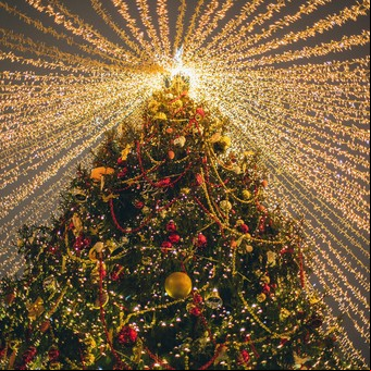 Descubrí en qué país se encuentra el árbol de Navidad más grande del mundo y cuándo rompió el récord Guinness