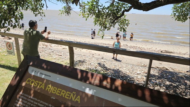 Para los que logran llegar hasta el río, el premio mayor es el aire fresco y la sombra en la reserva costanera sur.. Foto Cecilia Profetico