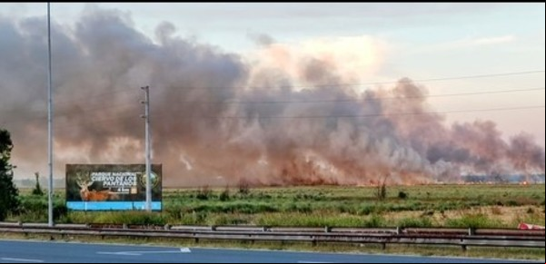 Se agrava el incendio en Campana y el fuego amenaza con cortar la ruta 9