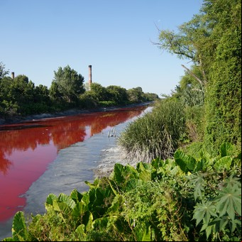 Avellaneda: el arroyo Sarandí presentó un alarmante color rojo y hay preocupación entre los vecinos