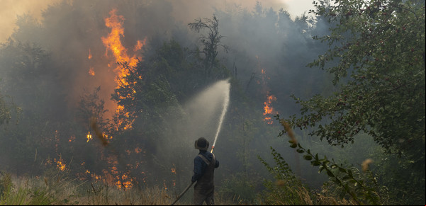 El Gobierno transfirió la Dirección Nacional de Manejo del Fuego al Ministerio de Seguridad Nacional