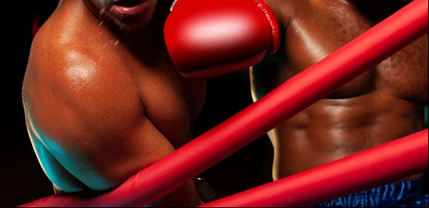 Rocky: ya está el trailer de la nueva obra con Nico Vázquez