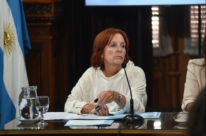 Senadora Alejandra Vigo. Foto: Foto Federico López Claro.