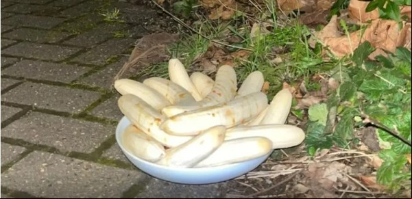 El misterio del plato con bananas peladas: lo dejan en una esquina todos los meses