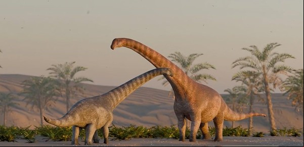 Científicos del Conicet descubrieron un nuevo dinosaurio herbívoro de 75 millones de años en la Patagonia: el Titán de la Sal
