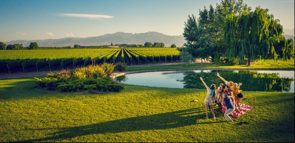 Escapada a Mendoza: una increíble cena con varios pasos, degustación de aceite con la Reina del Olivo y bodegas en plena cosecha 