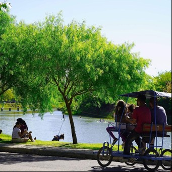 Escapadas a menos de 200 km de Buenos Aires: una pulpería de 1830, un bosque encantado y restaurantes de campo