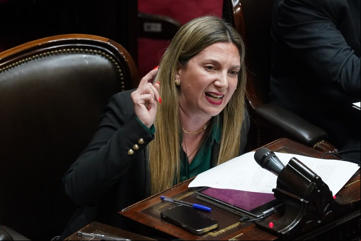 La diputada Silvia Lospennato, candidata del PRO en la Ciudad. Foto Juano Tesone