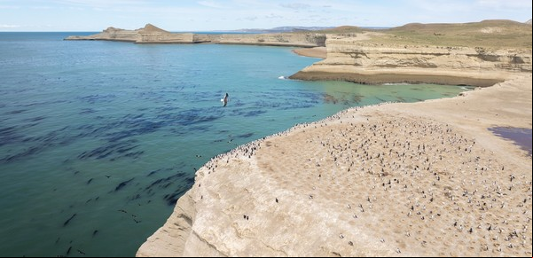 Parque Nacional Monte León: la geografía salvaje de la costa patagónica y la luz sobre el mar
