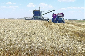 Trigo y cebada: se espera un auge en la siembra y calculan ingresos por exportaciones de más de US$ 4.000 millones