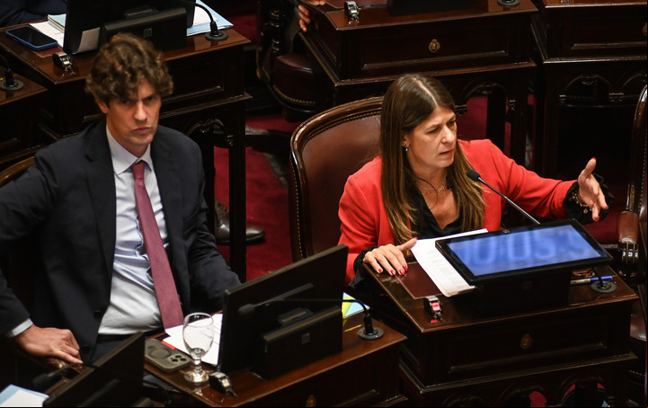 Martin Lousteau durante la sesión en el Senado. Foto Federico López Claro.