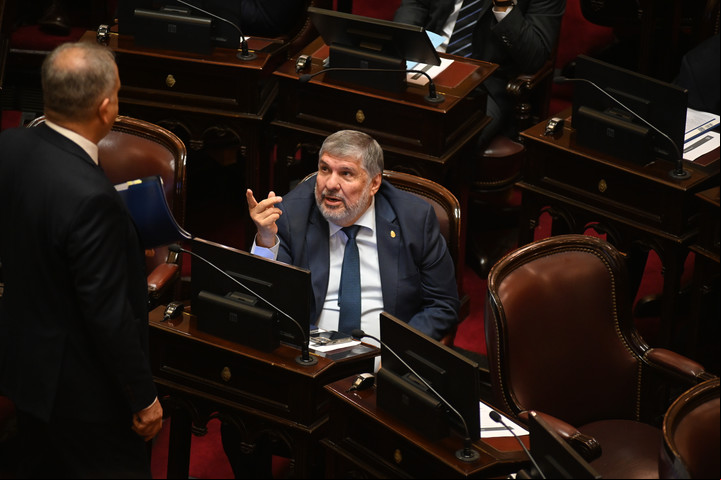 José Mayans durante la sesión en el Senado. Foto Federico López Claro.