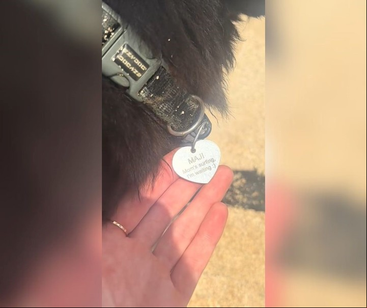 "Mamá está surfeando y yo estoy esperándola", se leía en la chapita. Foto: captura de video/TikTok @lucymcarpenter.