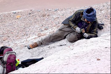 Un ecosistema perdido: descubren una increíble fauna acuática y terrestre de la Patagonia prehistórica