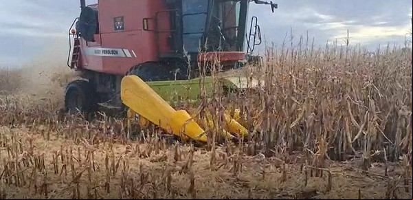 En marzo cayeron las exportaciones y volvió a bajar el superávit comercial