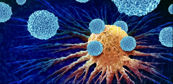 Descubren en las células un "gen maestro" del cáncer, lo anulan y logran que los tumores se reduzcan