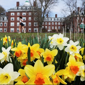 Estados Unidos: ¿Qué hay detrás de la "guerra" declarada por Donald Trump contra Harvard y otras prestigiosas universidades?