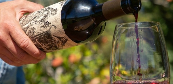 Día del Malbec: los vinos argentinos que hicieron historia y llevaron la cepa a lo más alto