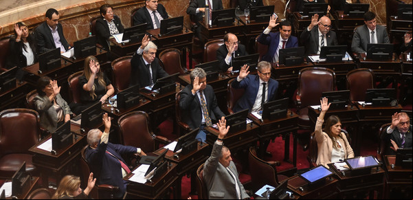 Con un mensaje a Victoria Villarruel, senadores libertarios ratificaron su compromiso para aprobar Ficha Limpia y renovar el congelamiento de sus sueldos