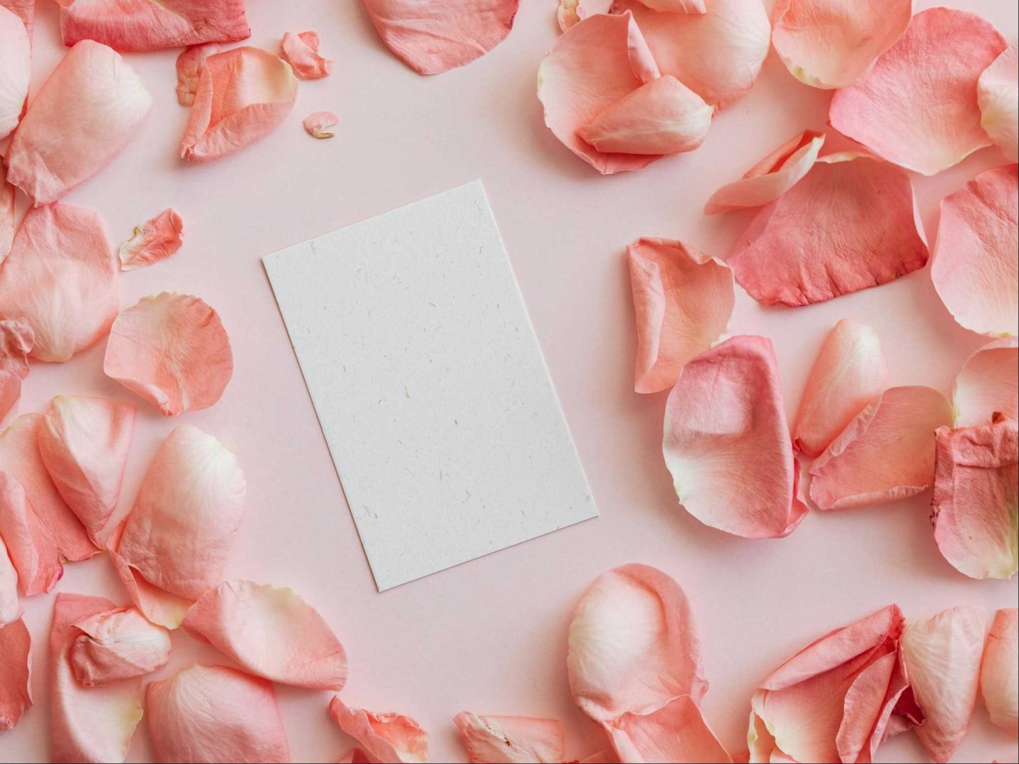 ¿Qué escribir en una tarjeta de regalo de boda?: Frases para desear un feliz matrimonio