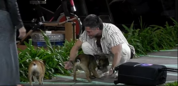 Recambio de mascotas, famosos de visita, de golpe entra más gente de la que sale y pases VIP: las maniobras de Gran Hermano para mandar en el rating