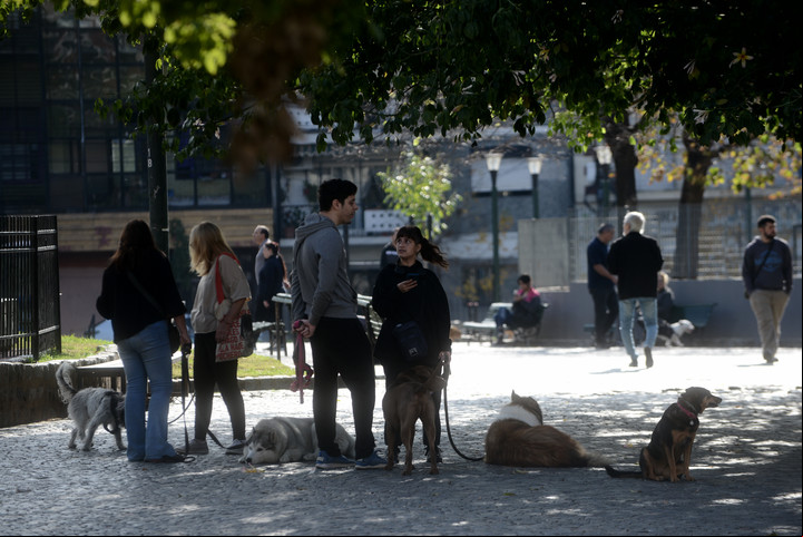La plaza Monseñor de Andrea, en Cordoba y Jean Jaures. Tiene un canil grande y es visitada por decenas de vecinos con perros todos los días. Foto: Luciano Thieberger
