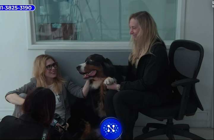 Karina Milei llevó a una entrevista al perro Thor.