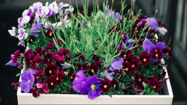 Este material es liviano, resistente y conserva bien la humedad, lo que lo hace perfecto para balcones y terrazas. Foto: Canva.