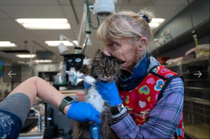 Mirage en el centro de rescate (Best Friends Animal Society).