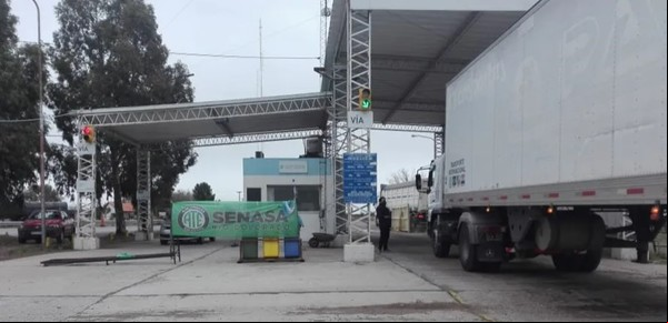 Fin de semana violento en controles de Senasa en Río Negro: un costillar decomisado, golpes y dos dientes aflojados a un inspector