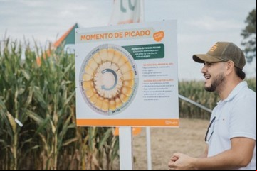 Tres aspectos a tener en cuenta a la hora de sembrar maíz para picar