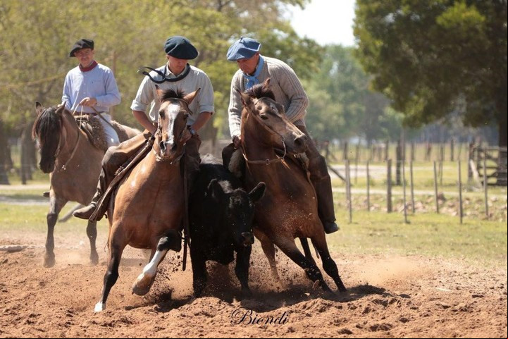 Guillermo Ortelli, en una competencia de paleteada campera.