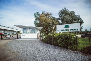 "La guerra de la papa": la disputa millonaria de dos familias por una fumigación que se llevó el viento
