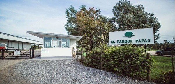 "La guerra de la papa": la disputa millonaria de dos familias por una fumigación que se llevó el viento