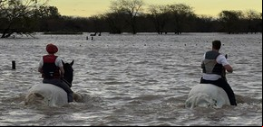 El impacto de las fuertes lluvias en el campo bonaerense: hay más de un millón de hectáreas de soja sin cosechar