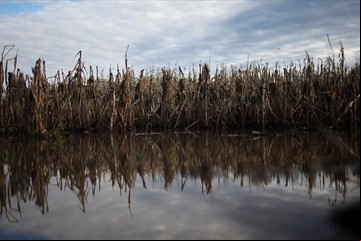 Prevén nuevas lluvias para las zonas más afectadas por el temporal en el norte de Buenos Aires