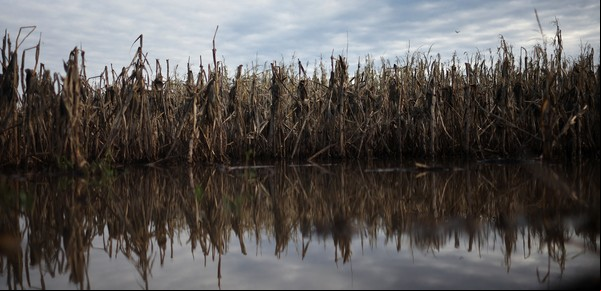 Prevén nuevas lluvias para las zonas más afectadas por el temporal en el norte de Buenos Aires