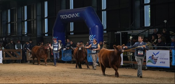 Cuatro historias de cabañas que se animaron a participar por primera vez en Expo Angus de Otoño