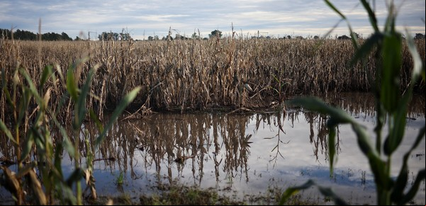 Sólo la tecnología puede revertir el cambio climático