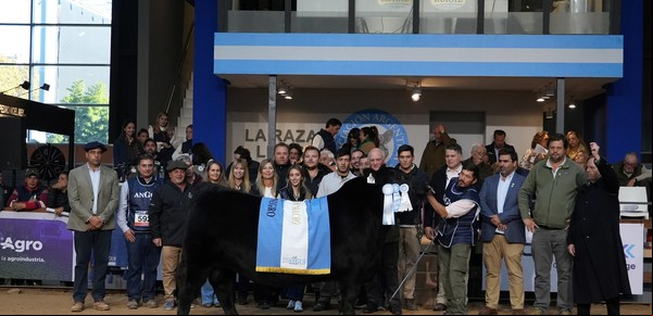 Semana Angus de Otoño: el Supremo Gran Campeón Angus fue para Quequén Sur y la Suprema Gran Campeona para La Alianza